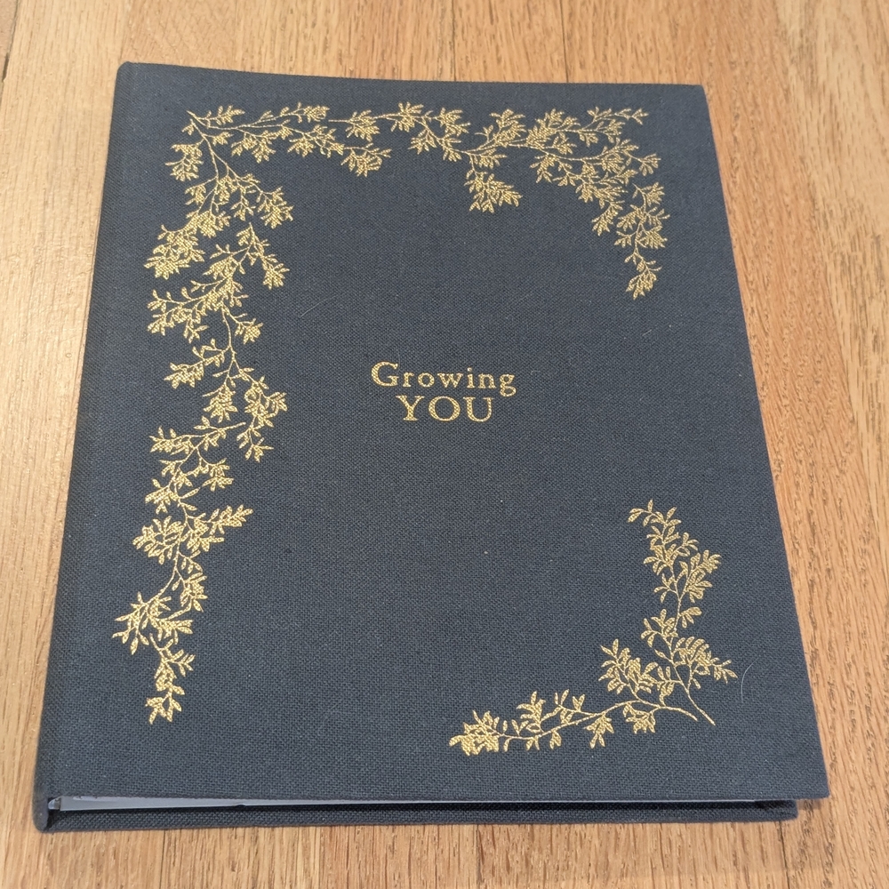 Elegant Pregnancy Journal And Memory Book